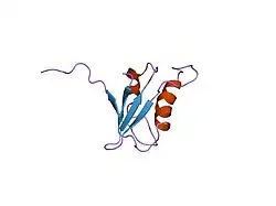 1u2f: SOLUTION STRUCTURE OF THE FIRST RNA-BINDING DOMAIN OF HU2AF65