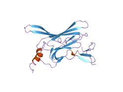 1u4e: Crystal Structure of Cytoplasmic Domains of GIRK1 channel