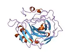 1uge: HUMAN CARBONIC ANHYDRASE II [HCAII] (E.C.4.2.1.1) MUTANT WITH ALA 65 REPLACED BY LEU (A65L)