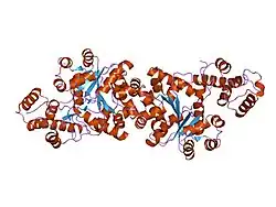1ulh: A short peptide insertion crucial for angiostatic activity of human tryptophanyl-tRNA synthetase