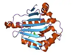 1uyi: HUMAN HSP90-ALPHA WITH 8-(2,5-DIMETHOXY-BENZYL)-2-FLUORO-9-PENT-9H-PURIN-6-YLAMINE