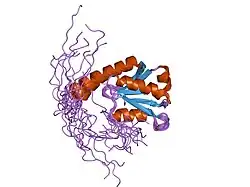 1v95: Solution Structure of Anticodon Binding Domain from Nuclear Receptor Coactivator 5 (Human KIAA1637 Protein)