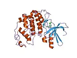 1w0x: CRYSTALS STRUCTURE OF HUMAN CDK2 IN COMPLEX WITH THE INHIBITOR OLOMOUCINE.