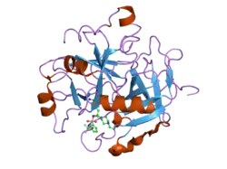 1w7g: ALPHA-THROMBIN COMPLEX WITH SULFATED HIRUDIN (RESIDUES 54-65) AND L-ARGININE TEMPLATE INHIBITOR CS107