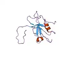 1wh1: Solution structure of the fourth PDZ domain of KIAA1095 protein