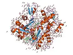 1wua: The structure of Aplyronine A-actin complex