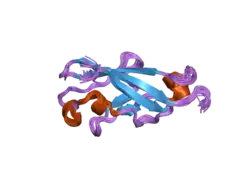 1wuz: Structure of EC1 domain of CNR