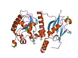 1wyw: Crystal Structure of SUMO1-conjugated thymine DNA glycosylase