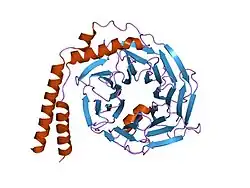 1xhm: The Crystal Structure of a Biologically Active Peptide (SIGK) Bound to a G Protein Beta:Gamma Heterodimer