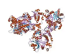 1xsl: Crystal Structure of human DNA polymerase lambda in complex with a one nucleotide DNA gap
