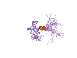 1xwh: NMR structure of the first phd finger of autoimmune regulator protein (AIRE1): insights into apeced