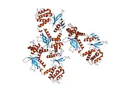 1y19: Structural basis for phosphatidylinositol phosphate kinase type I-gamma binding to talin at focal adhesions