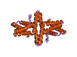 1y76: Solution Structure of Patj/Pals1 L27 Domain Complex