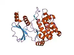 1yhw: Crystal Structure of PAK1 kinase domain with one point mutations (K299R)