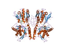 1yk1: structure of natriuretic peptide receptor-C complexed with brain natriuretic peptide
