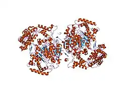 1yov: Insights into the Ubiquitin Transfer Cascade from the refined structure of the activating enzyme for NEDD8