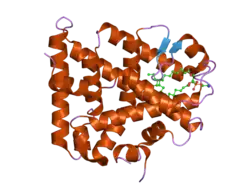1yp0: Structure of the steroidogenic factor-1 ligand binding domain bound to phospholipid and a SHP peptide motif