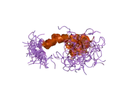 1z0q: Aqueous Solution Structure of the Alzheimer's Disease Abeta Peptide (1-42)