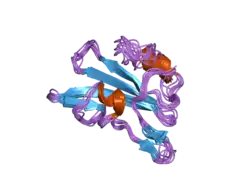 1z3k: Structural Insight into the Binding Diversity between the Tyr-Phosphorylated Human EphrinBs and Nck2 SH2 Domain
