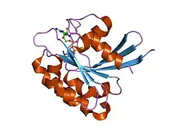 1zd9: Structure of human ADP-ribosylation factor-like 10B