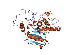 1zi5: Crystal Structure of Human N-acetylgalactosaminyltransferase (GTA) Complexed with H type I Trisaccharide