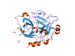 1zmj: Crystal Structure of the Catalytic Domain of Factor XI in complex with 4-(guanidinomethyl)-phenylboronic acid