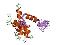 1zwg: SUCCINYL HUMAN PARATHYROID HORMONE 4-37, NMR, 10 STRUCTURES