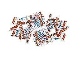 2a40: Ternary complex of the WH2 domain of WAVE with Actin-DNAse I