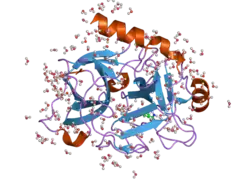 2anw: Expression, crystallization and three-dimensional structure of the catalytic domain of human plasma kallikrein: Implications for structure-based design of protease inhibitors