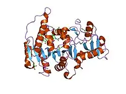 2apc: Crystal Structure of N-Acetylglucosaminyltransferase I in Complex with UDP-GlcNAc phosphonate