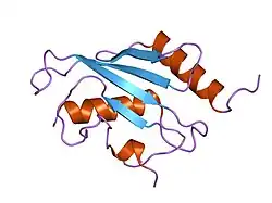 2awf: Structure of human Ubiquitin-conjugating enzyme E2 G1