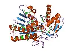2b69: Crystal Structure of Human UDP-glucoronic acid decarboxylase