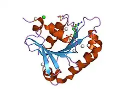 2b6h: Structure of human ADP-ribosylation factor 5