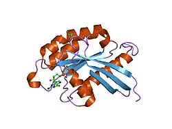 2bmd: HIGH RESOLUTION STRUCTURE OF GDP-BOUND HUMAN RAB4A