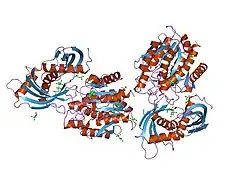 2bo9: HUMAN CARBOXYPEPTIDASE A4 IN COMPLEX WITH HUMAN LATEXIN.