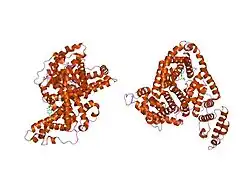 2bxg: HUMAN SERUM ALBUMIN COMPLEXED WITH IBUPROFEN