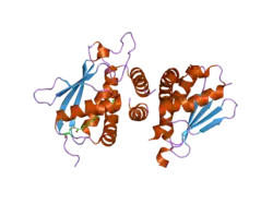 2c0j: CRYSTAL STRUCTURE OF THE BET3-TRS33 HETERODIMER