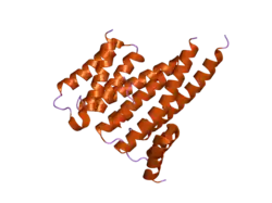 2c23: 14-3-3 PROTEIN BETA (HUMAN) IN COMPLEX WITH EXOENZYME S PEPTIDE