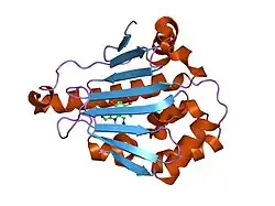 2ccs: HUMAN HSP90 WITH 4-CHLORO-6-(4-PIPERAZIN-1-YL-1H-PYRAZOL-3-YL)-BENZENE-1,2-DIOL
