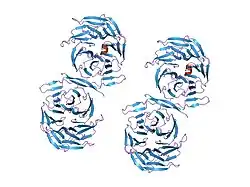 2ce8: AN EH1 PEPTIDE BOUND TO THE GROUCHO-TLE WD40 DOMAIN.