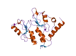 2ckl: RING1B-BMI1 E3 CATALYTIC DOMAIN STRUCTURE