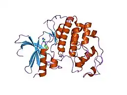 2clx: 4-ARYLAZO-3,5-DIAMINO-1H-PYRAZOLE CDK INHIBITORS: SAR STUDY, CRYSTAL STRUCTURE IN COMPLEX WITH CDK2, SELECTIVITY, AND CELLULAR EFFECTS