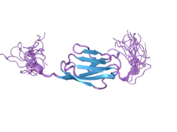 2cpc: Solution structure of RSGI RUH-030, an Ig like domain from human cDNA