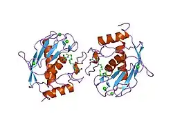 2d1o: Stromelysin-1 (MMP-3) complexed to a hydroxamic acid inhibitor