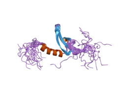 2d9u: Solution structure of the Chromo domain of chromobox homolog 2 from human