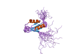 2dgp: Solution structure of the N-terminal RNA binding domain in Bruno-like 4 RNA-binding protein