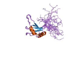 2dgs: Solution structure of the second RNA binding domain in DAZ-associated protein 1