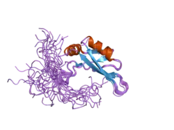 2dh8: Solution structure of the N-terminal RNA binding domain in DAZ-associated protein 1