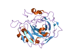 2fnk: Activation of Human Carbonic Anhydrase II by exogenous proton donors