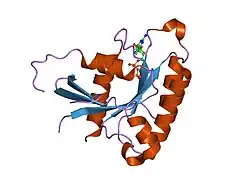2g3y: Crystal structure of the human small GTPase GEM